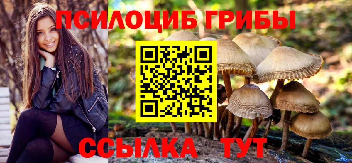 Мегион  Псилоцибиновые грибы MAGIC MUSHROOMS  Вход с VPN 