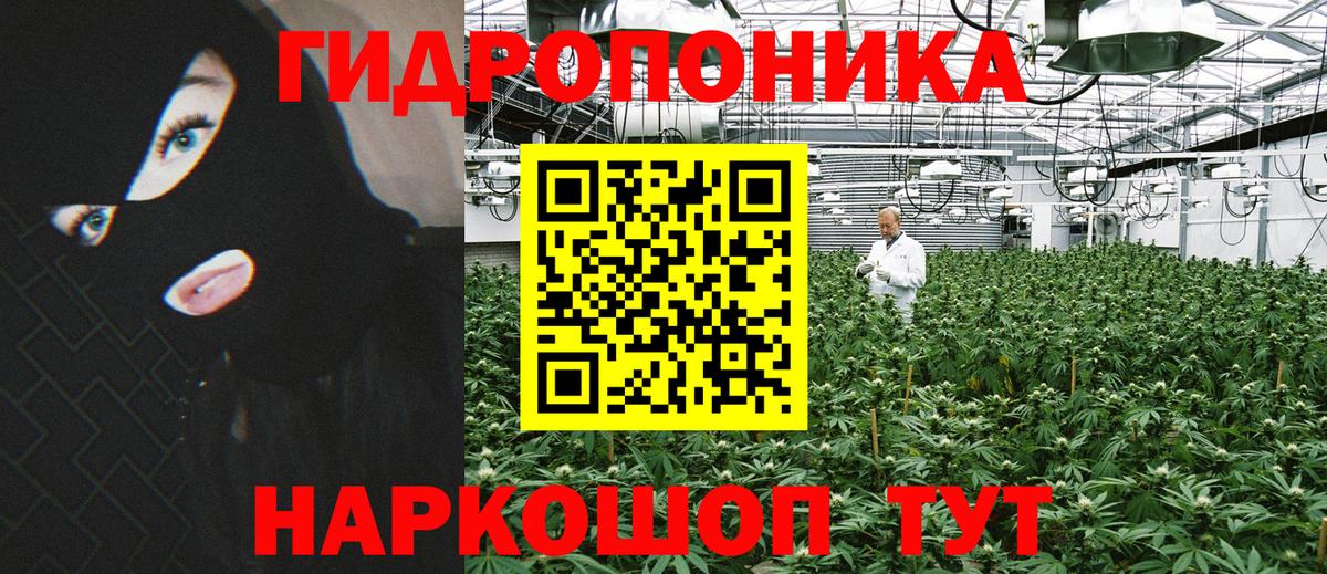 Конопля план Мегион
